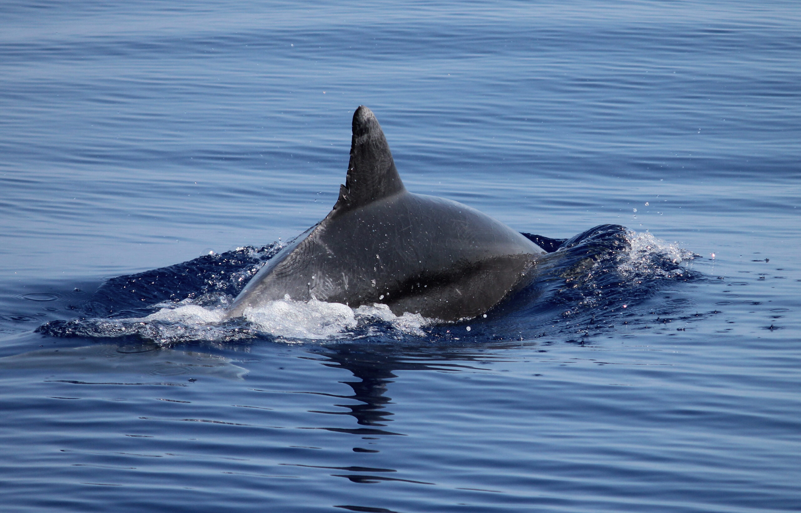 Viaggi ecoturismo in barca a vela