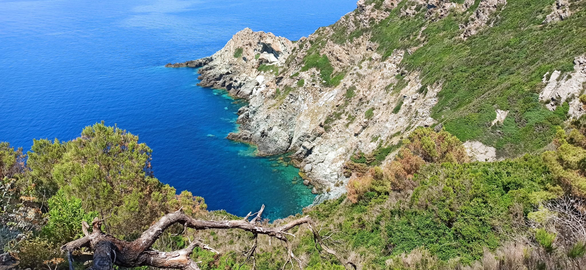 Gorgona: una perla da scoprire