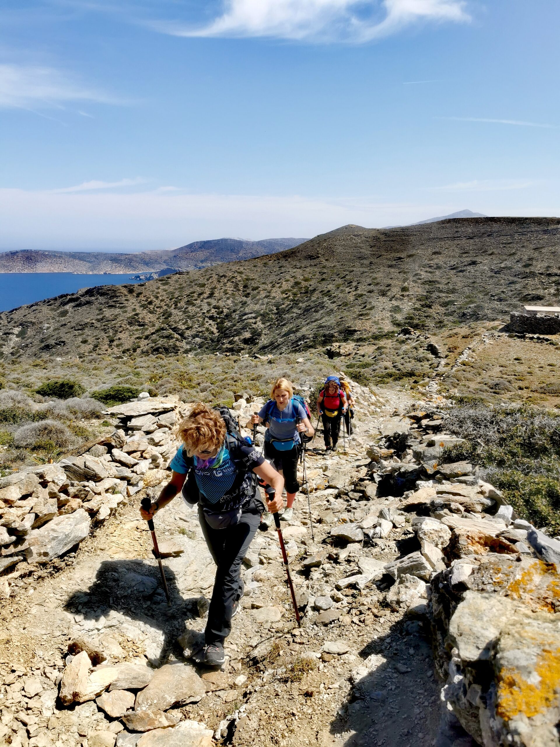 lascalaranda tartarughe